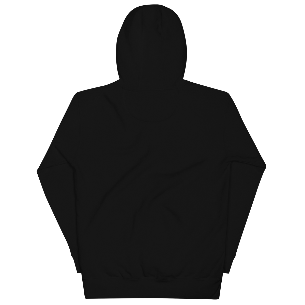 Bitcoin Artwear black Hoodie, back